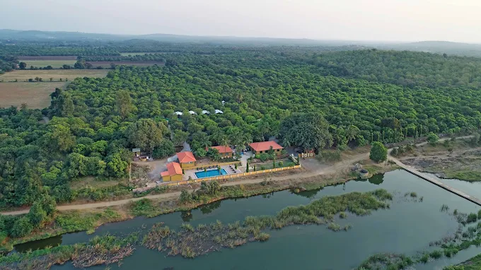 Gir Lion Safari Camp